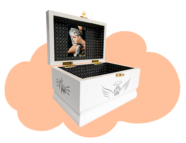 img-recordatorios-mascotas